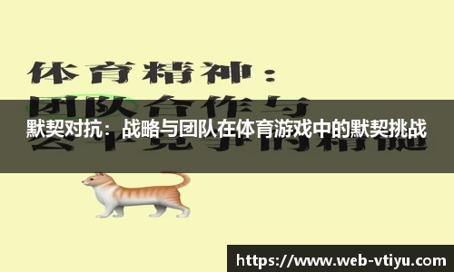 v体育官方网站